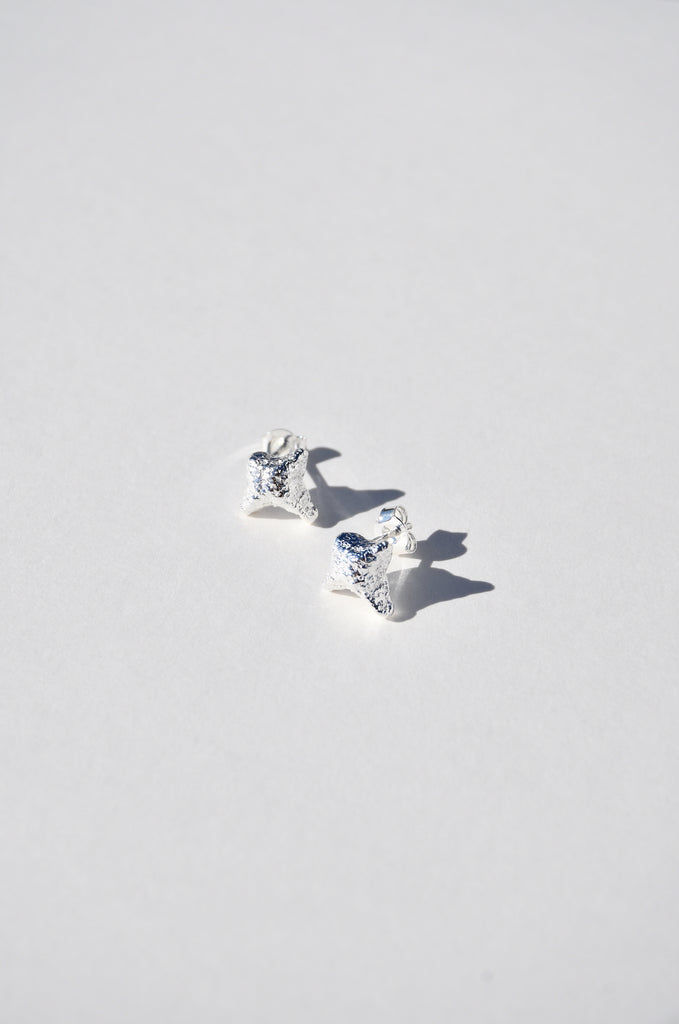 SILVER LODESTAR EARRINGS