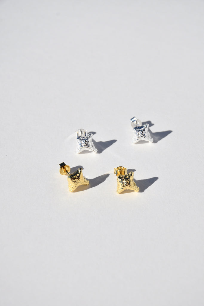 SILVER LODESTAR EARRINGS