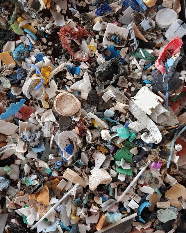 Microplastics: Families Cleanup in São Lourenço