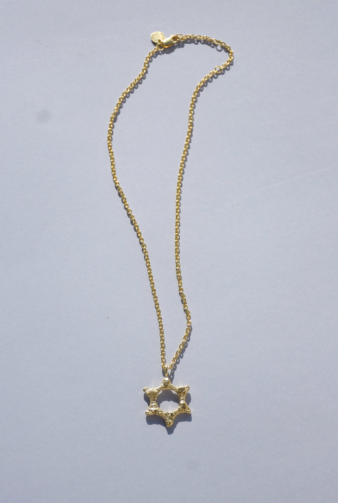 GOLD SEAL OF SOLOMON NECKLACE